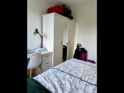 Photo n°5