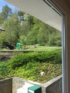 Photo n°4