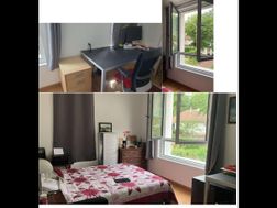 Photo n°1