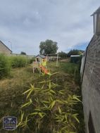 Photo n°6
