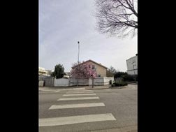 Photo n°1
