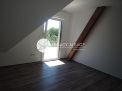 Photo n°2