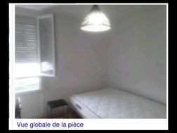 Photo n°1