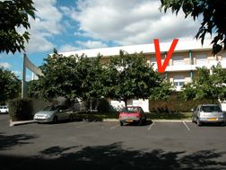 Photo n°1