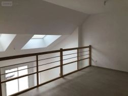 Photo n°6