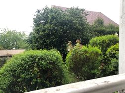 Photo n°6