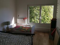 Photo n°6