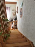 Photo n°6