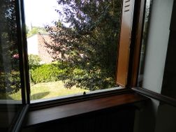 Photo n°3