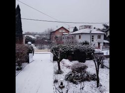 Photo n°9