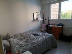 Photo n°5