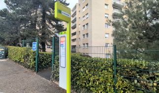 Photo n°3