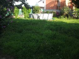 Photo n°6