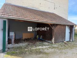 Photo n°4
