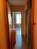 Photo n°2