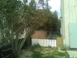 Photo n°2