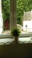 Photo n°4