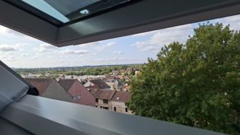 Photo n°6