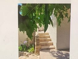 Photo n°1