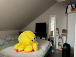 Photo n°5