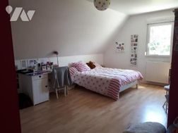 Photo n°4