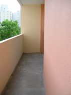 Photo n°6