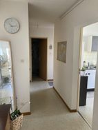 Photo n°3