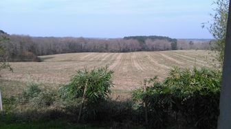 Photo n°3