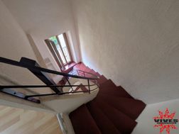 Photo n°6