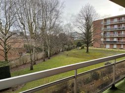 Photo n°5