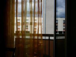 Photo n°7