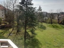 Photo n°1