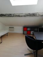 Photo n°1