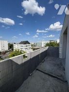 Photo n°5