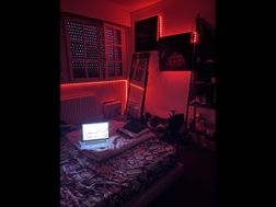 Photo n°7