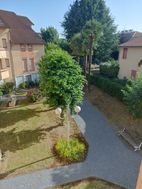 Photo n°6