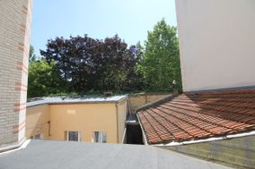 Photo n°6