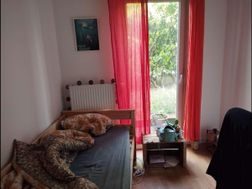 Photo n°9