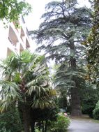 Photo n°1