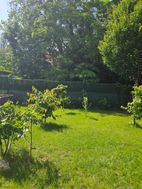 Photo n°4