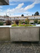 Photo n°5