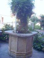 Photo n°3