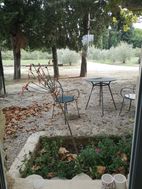 Photo n°4
