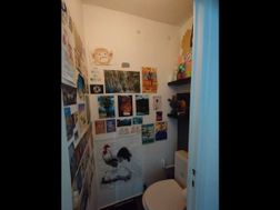 Photo n°6