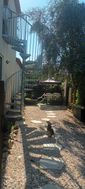 Photo n°2