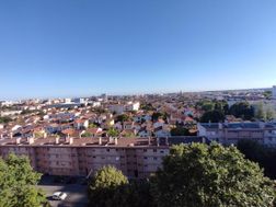 Photo n°6