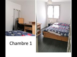 Photo n°4