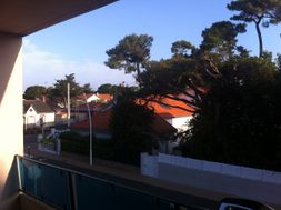 Photo n°1