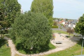 Photo n°2