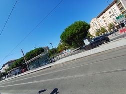 Photo n°7